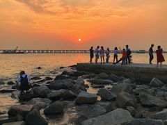 -宝安西湾红树林湿地公园