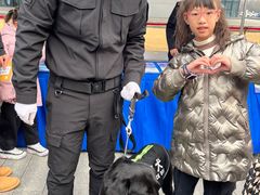 -武汉市民之家