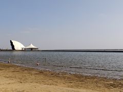 -碧海金沙