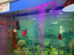 -雅悦齿科(顾村公园店)