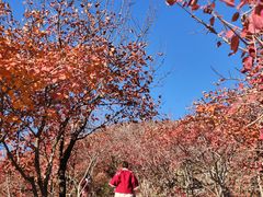 -周口店坡峰岭风景区