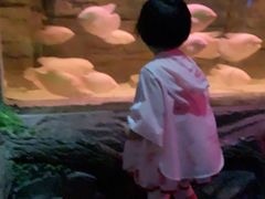 -蓬莱欧乐堡海洋极地世界