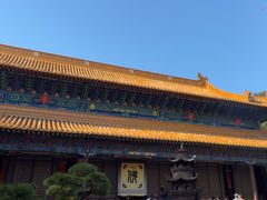 -普陀山风景名胜区-法雨禅寺