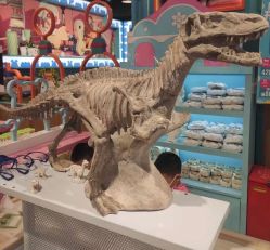 -卡通尼乐园(武汉凯德1818店)
