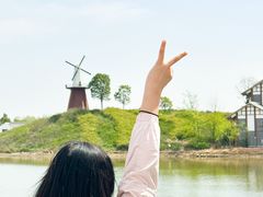 -金卉庄园
