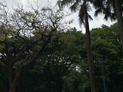 -麓湖高尔夫球俱乐部