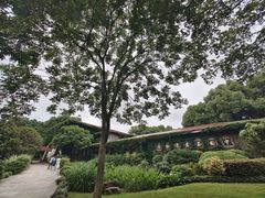 -中国茶叶博物馆(双峰馆区)