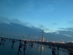 -奉贤海滩