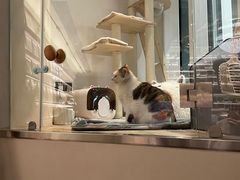 -黑胶星球(华发中城商都店)