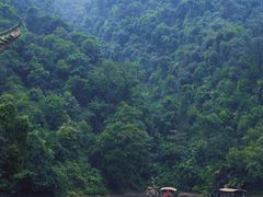 -鼎湖山风景区