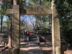 -上海佘山国家森林公园天马山园