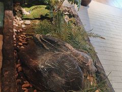 -新渝城·始于2000年(淘金店)