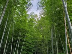 -天目湖涵田度假村