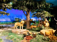 -国家自然博物馆