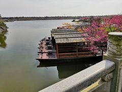 景点-上海海湾国家森林公园