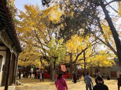 -浮来山风景区