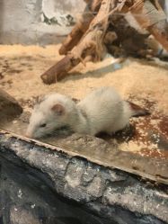 -Zoolung Zoolung动物主题公园(海信广场店)