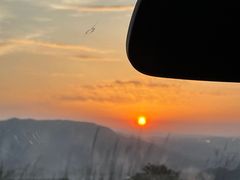 -武陵山森林公园