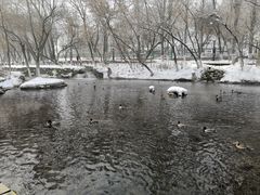 -水磨沟公园