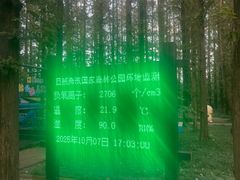 -日照海滨国家森林公园