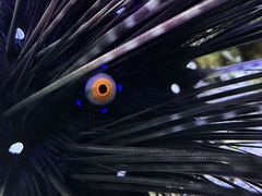 -普吉岛凯悦酒店