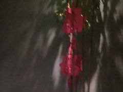 -望京辣宴·古法川菜(望京店)