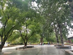 -莲花池公园