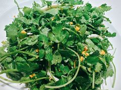 海胆芹菜苗-日丰园海肠水饺·老字号大连海鲜(和平广场店)
