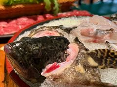 -海煮叹鲜·粥底火锅·港式海鲜打边炉(赛银国际广场店)