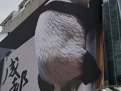 -合景·悠方(成都店)