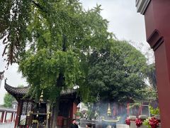 -长春观