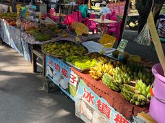-西双版纳傣族园