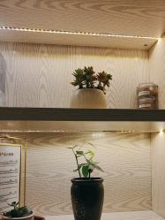-东英经典SKIN&SPA