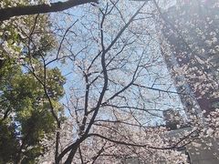 -玛格萝妮比萨屋(四平店)