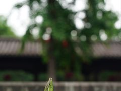 -钱王祠