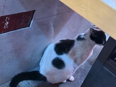 -一烙锅(友谊店)