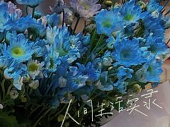 -循礼门鲜花花市(武汉循礼门店)