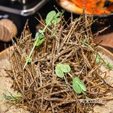 不吹不黑！MA SHER是我心中韩餐top1