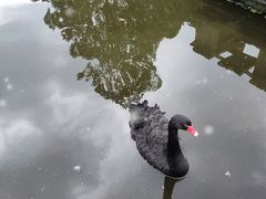 -昆明动物园