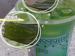 斑斓爆珠生打椰-森茶(湛江万达店)