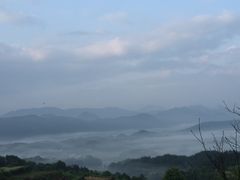 -桃花姐假日酒店·桃花潭土菜馆