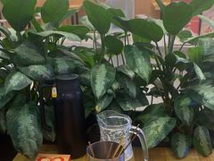 -八条友鲜货烧烤·脆皮烤鱼(石岩旗舰店)
