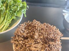 珊瑚菌-官也街澳门火锅(新源里店)