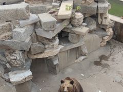 -保定市动物园