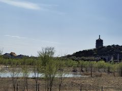 -永定河休闲森林公园