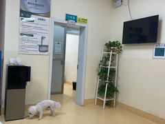 -瑞派宠物医院·24小时骨科·心脏·核磁(哈尔滨南岗店)