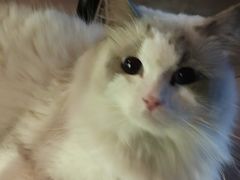 -故遥酒馆.赛事直播