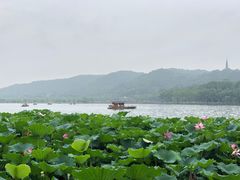 -西湖游船