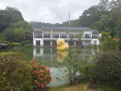 -谷丰健康凤贤居酒家