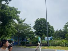-森波拉奇妙世界